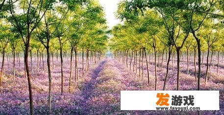 探索杭州,寻找孩子的快乐天地 杭州亲子游好去处