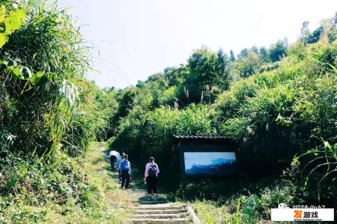 最美乡村你见过吗？举例说明