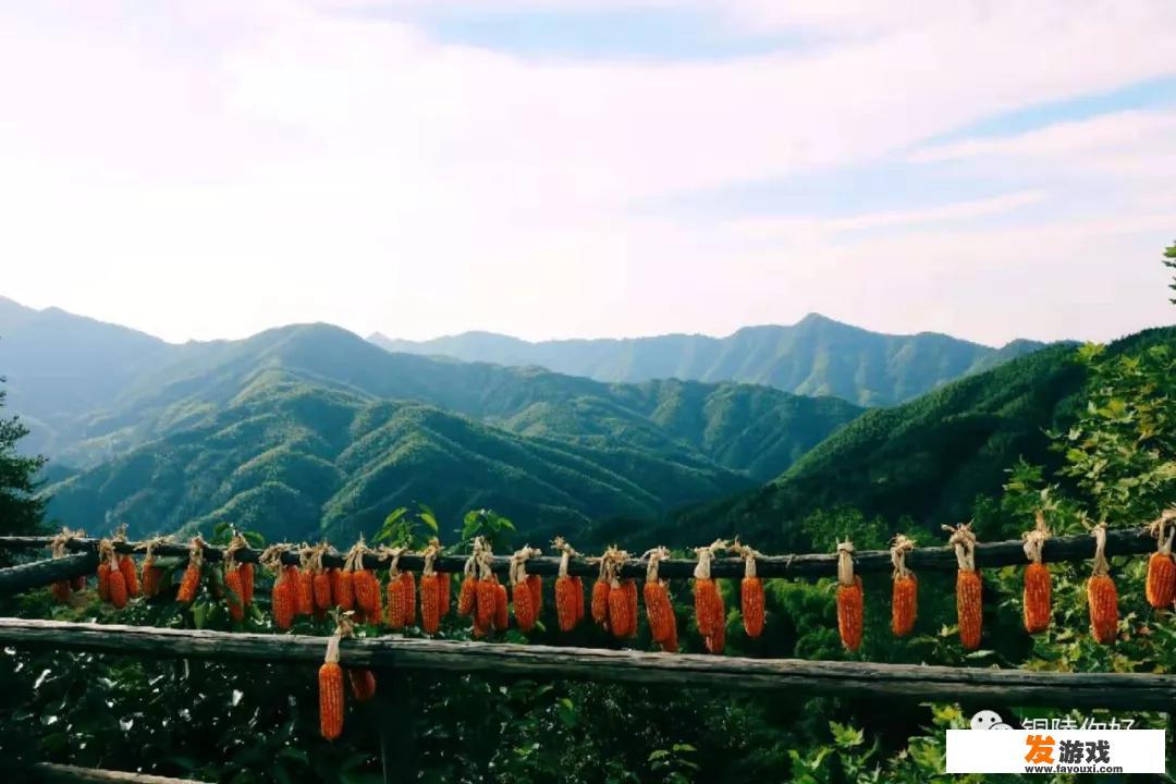最美乡村你见过吗？举例说明