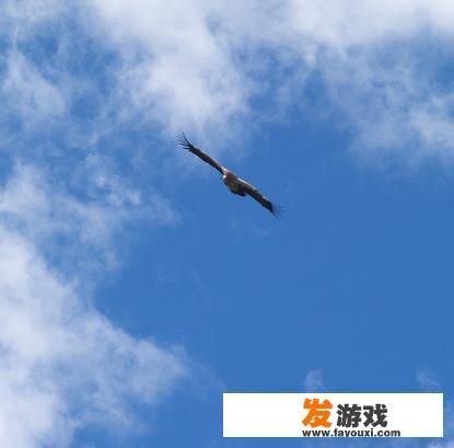 家长如何引导孩子走向成功