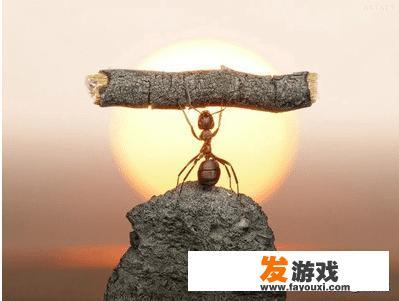 僵尸生活怎么怀孕