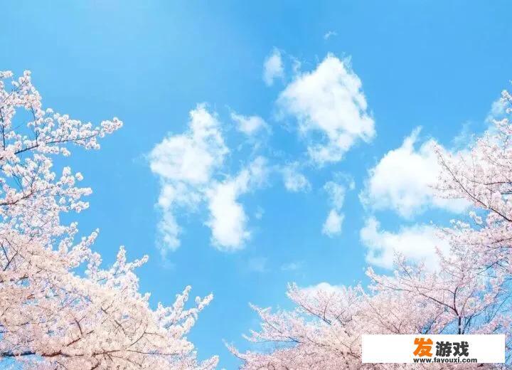 2020最火好听的女性微信名有什么