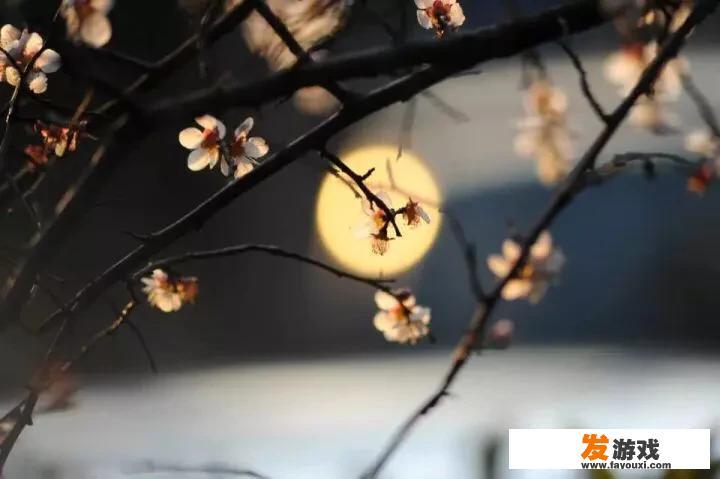 2020最火好听的女性微信名有什么