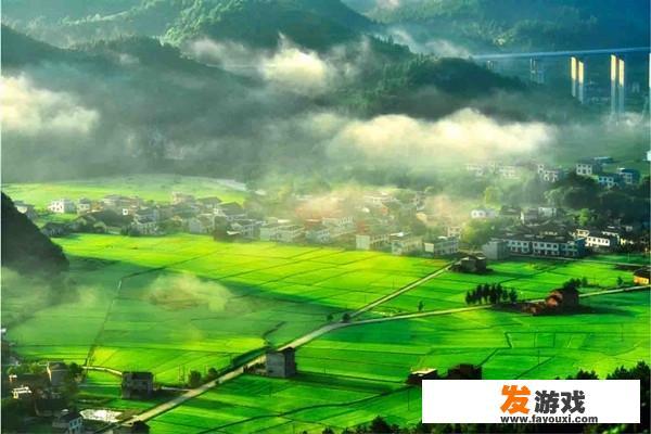 炎陵本地有哪些特产