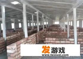 疯狂骑士团菜谱材料怎么获得