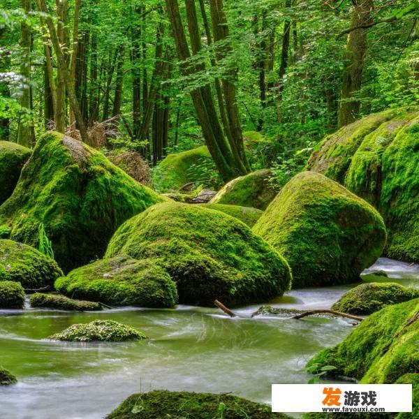 生肖鼠最受不了什么委屈