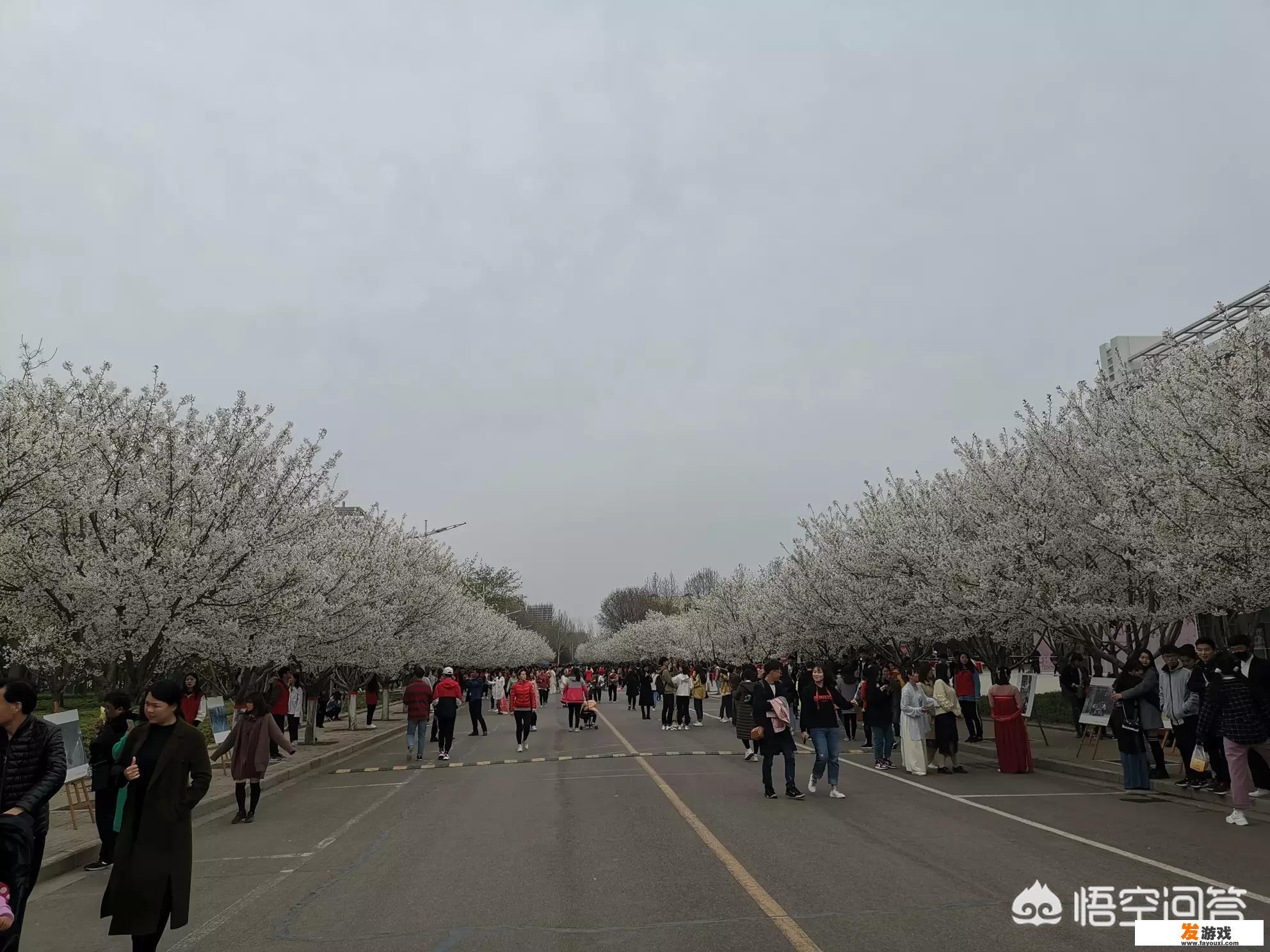 去河南许昌旅游，有哪些好地方可以推荐