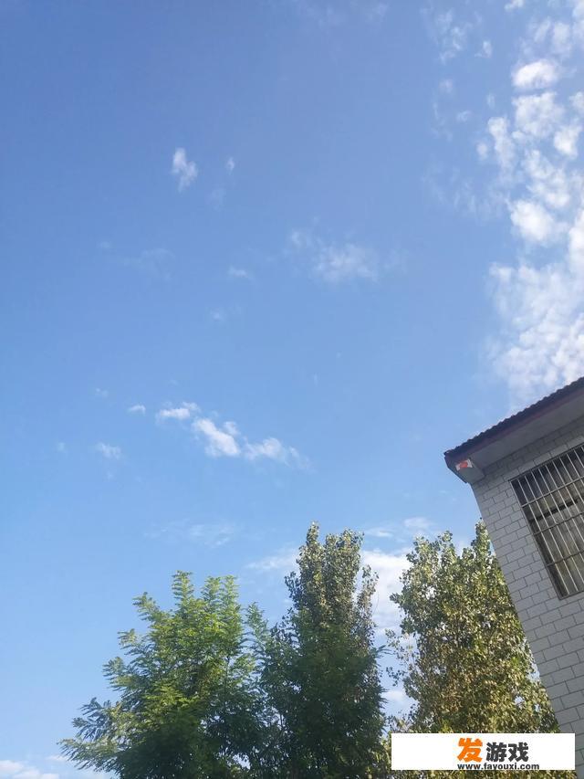 16岁不想上学找什么工作