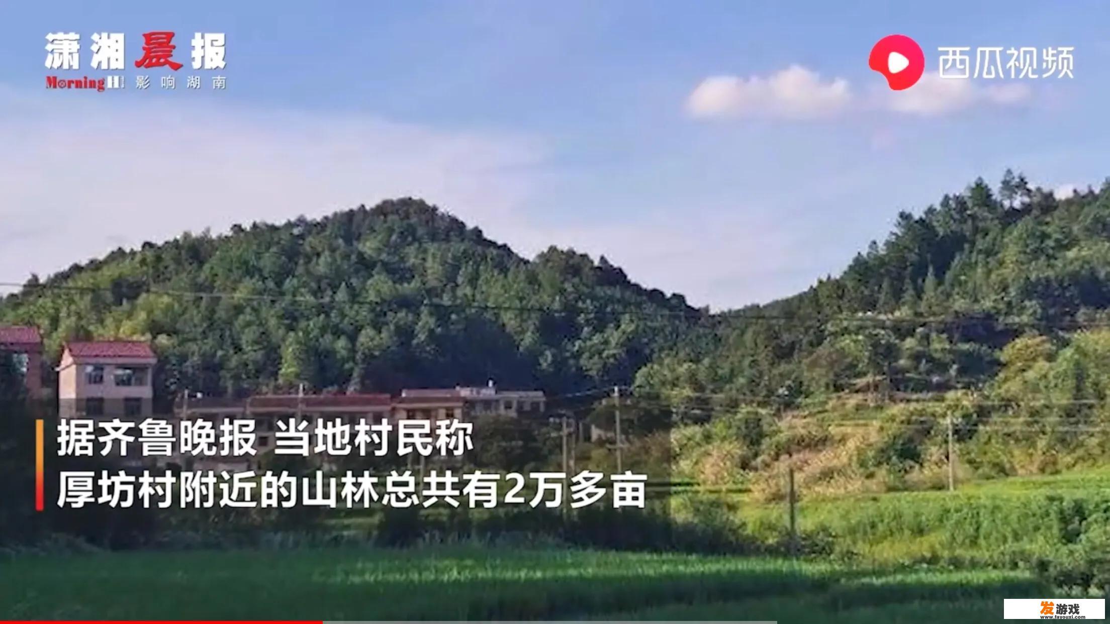16眼虾网是否能抓鱼？