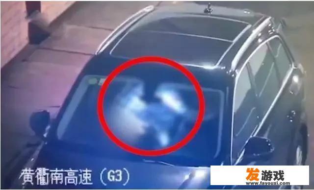 光头强回家过年是第几集