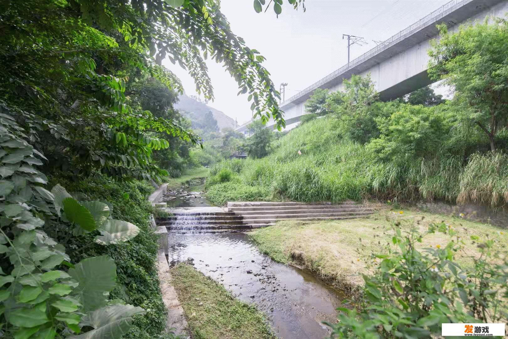 十二生肖的人都有什么迷人的魅力