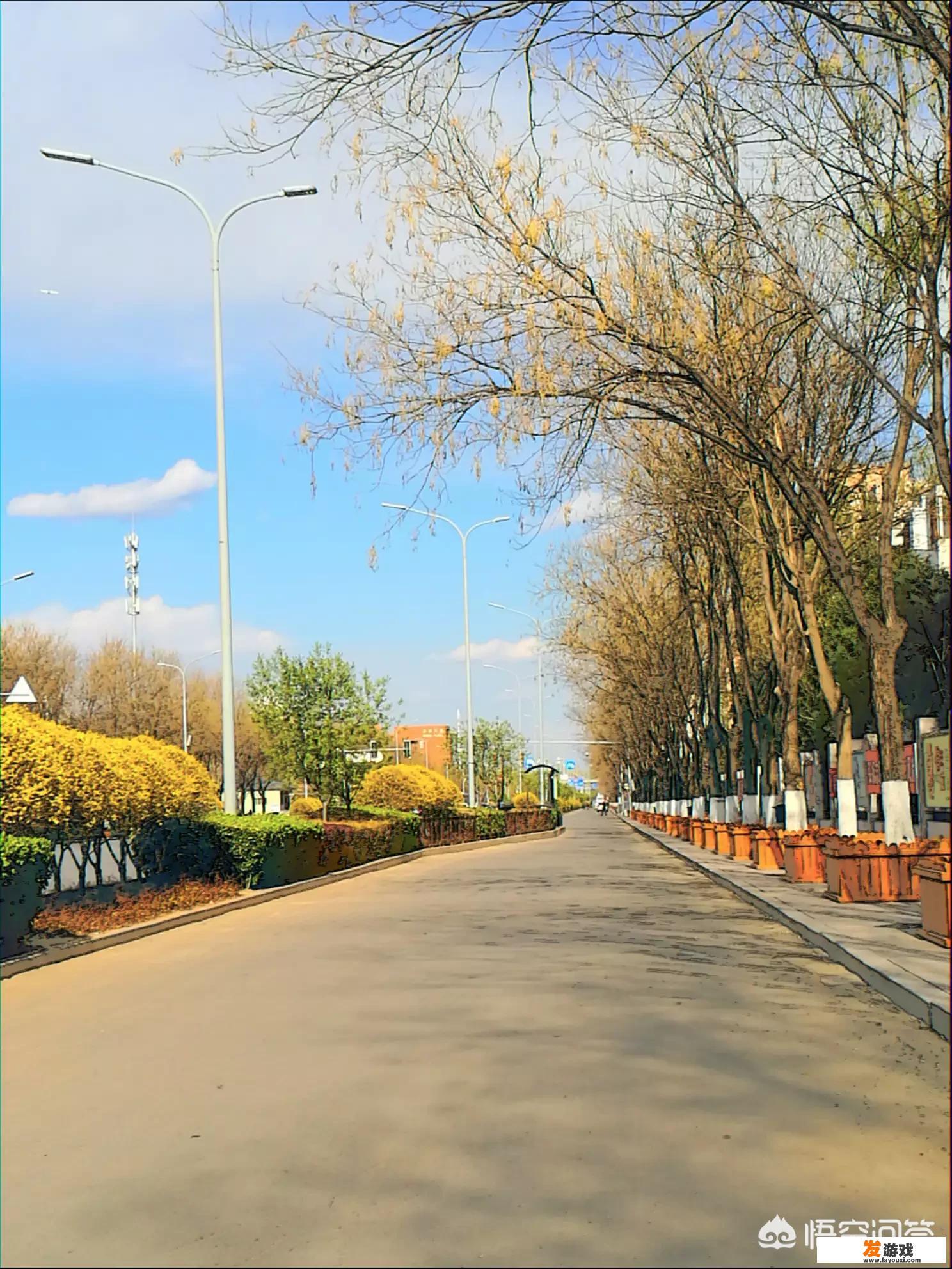 母亲己逝又梦见死了放声大哭