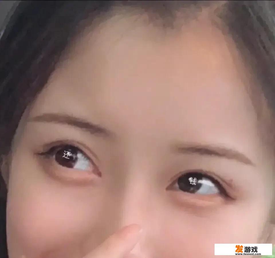 知道山貘是什么动物吗