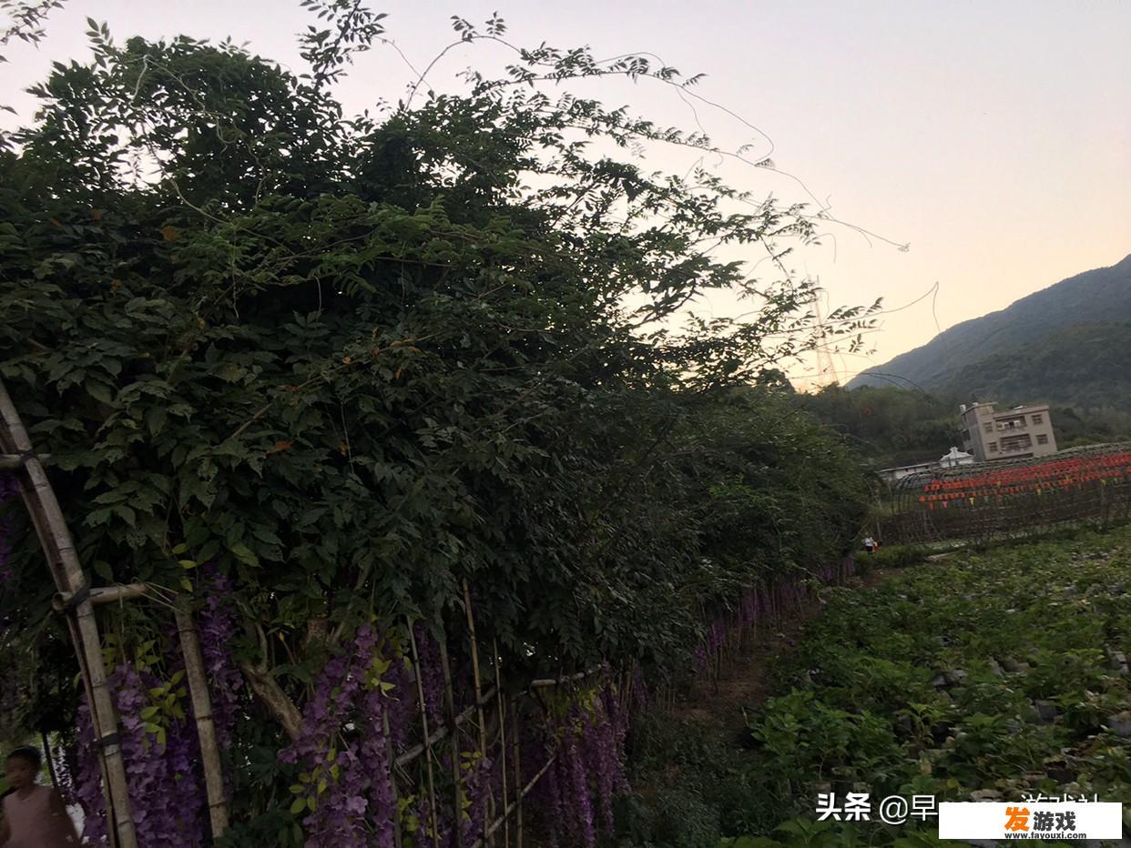 英雄杀世界怎么玩？