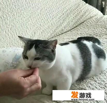 女人抱着小孩补窗户的游戏？