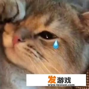 你身边有哪些啃老的故事？