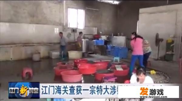 广东破获了一个海产品团伙走私案吗？