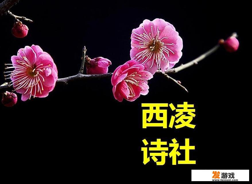 如何让美女同事喜欢上自己？