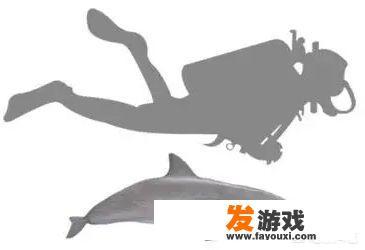 一个女孩试图复活一只海豚的电影？