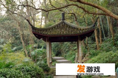 公司打算组织一场团建活动，有哪些推荐？