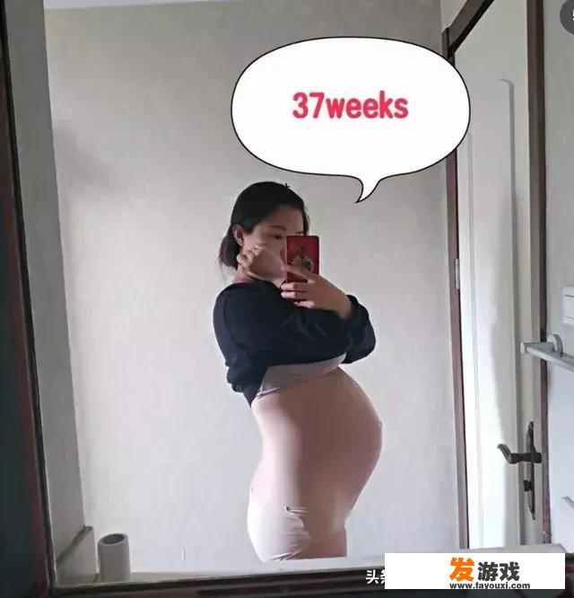 《如朕亲临》是什么剧情好看吗？