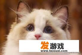 顺德长鹿旅游休博园好玩吗？