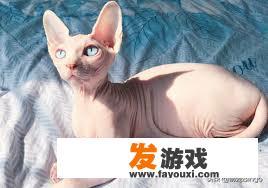 顺德长鹿旅游休博园好玩吗？