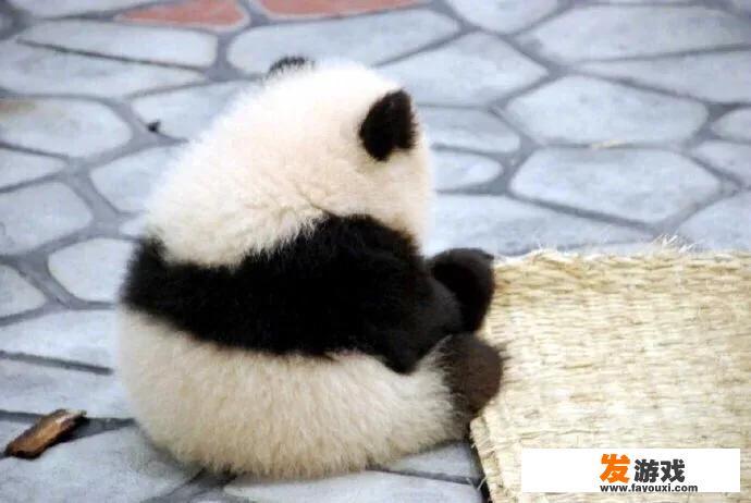 初三总是突然心血来潮学一段时间，然后又颓废玩游戏刷番剧玩物丧志，怎么办？