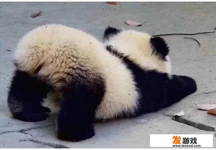 初三总是突然心血来潮学一段时间，然后又颓废玩游戏刷番剧玩物丧志，怎么办？