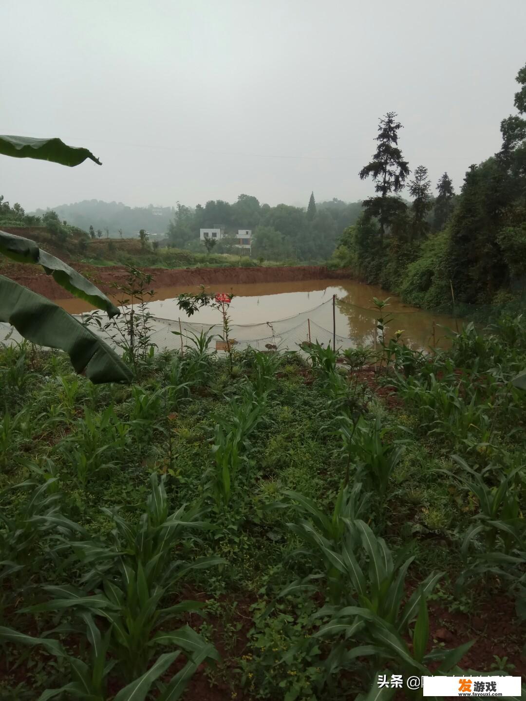 种菜软件盈利模式解析