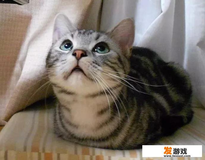 星辰奇缘平民攻略技巧？