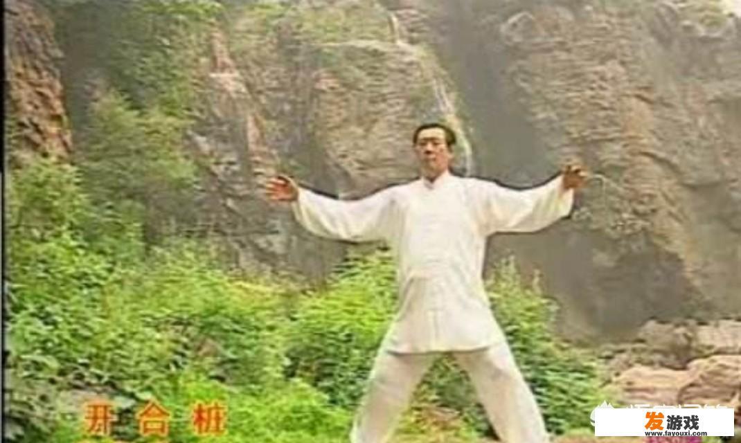 杨式太极三十七式拳特点？