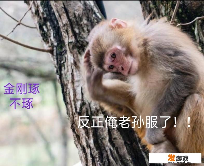 太上老君的金刚琢在《西游记》中的地位