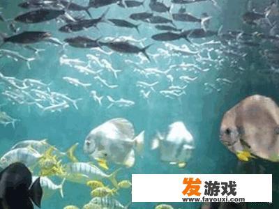 2016年经典小单机游戏？