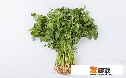 佛弟子能否食用香菜？