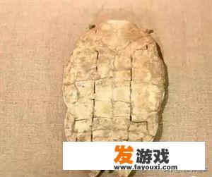 探寻顺平的古迹，感受历史的韵味