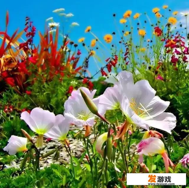 临沂网络戒瘾中心再次曝光虐待视频，若视频属实，该中心需承担何种法律责任？