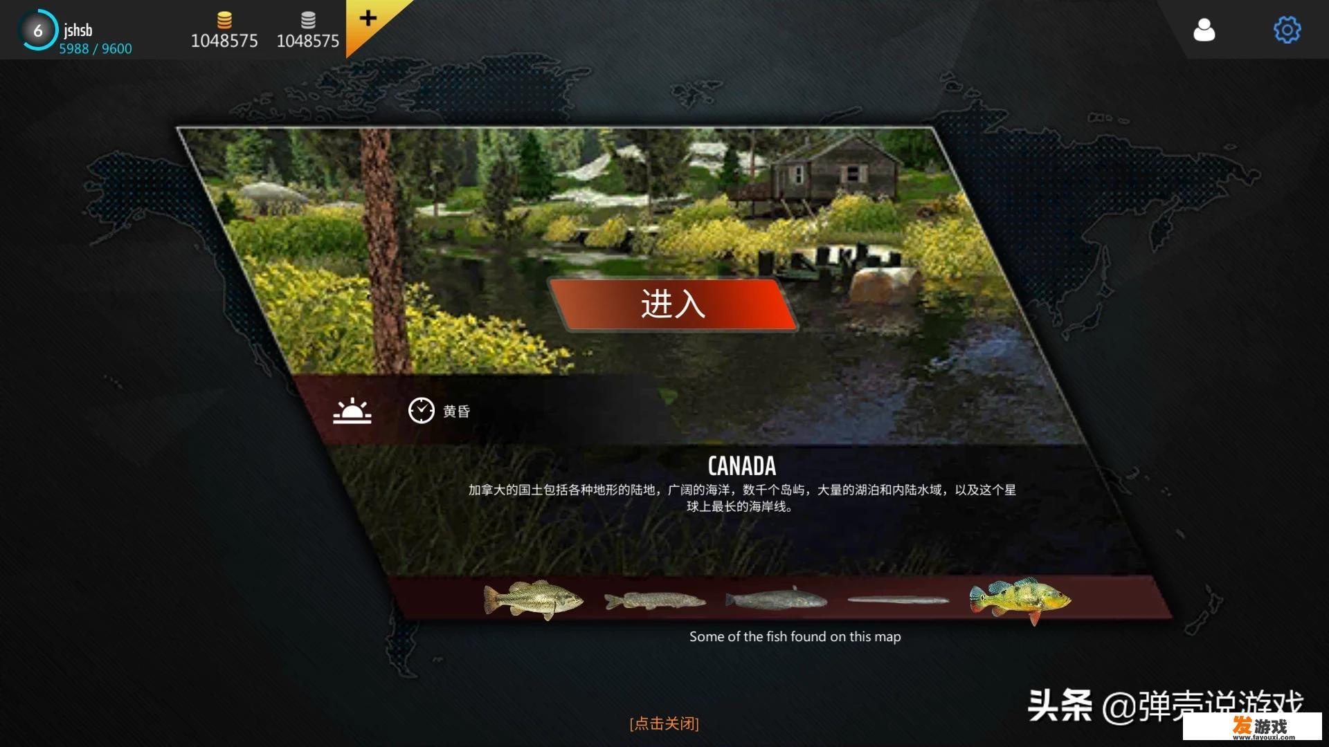 猫咪玩的平板游戏？