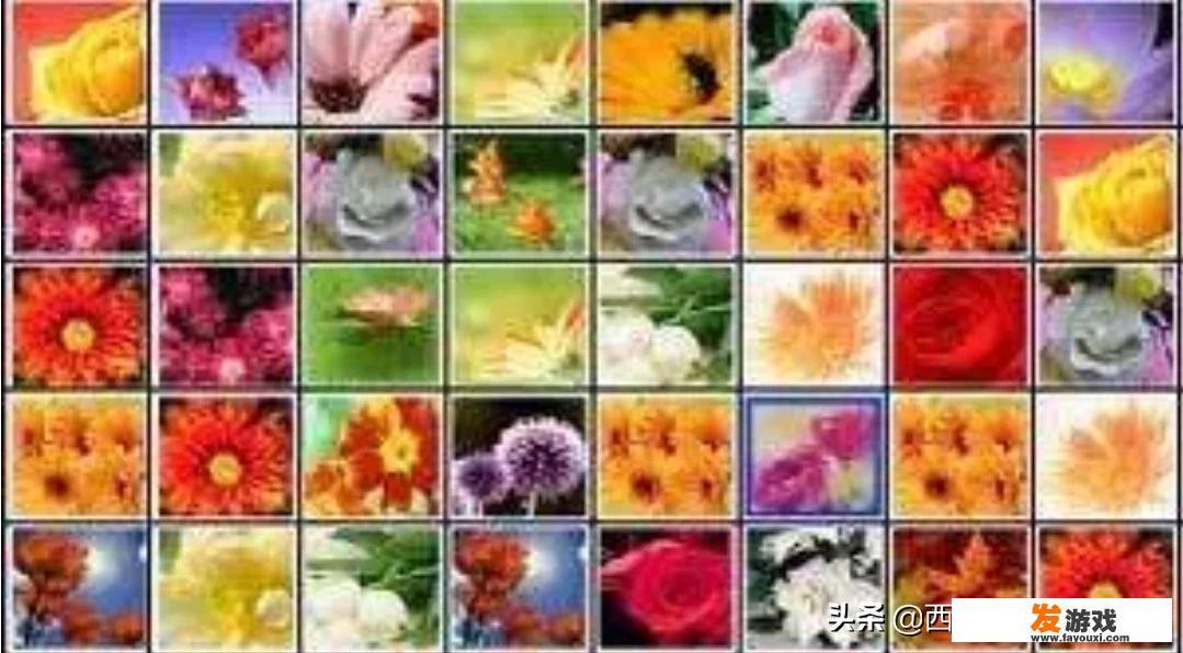 泪雨如花含义解析