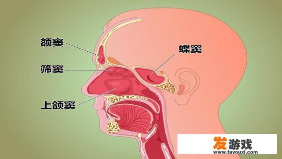 住院报销用手机怎么操作？