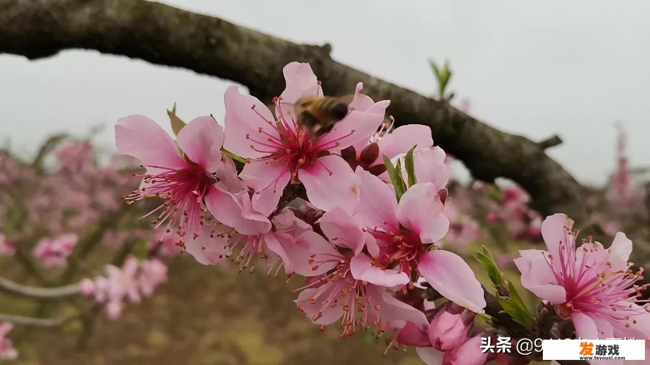 网络游戏中诱导人们一再充值和生活中的诈骗。性质上你如何看待？