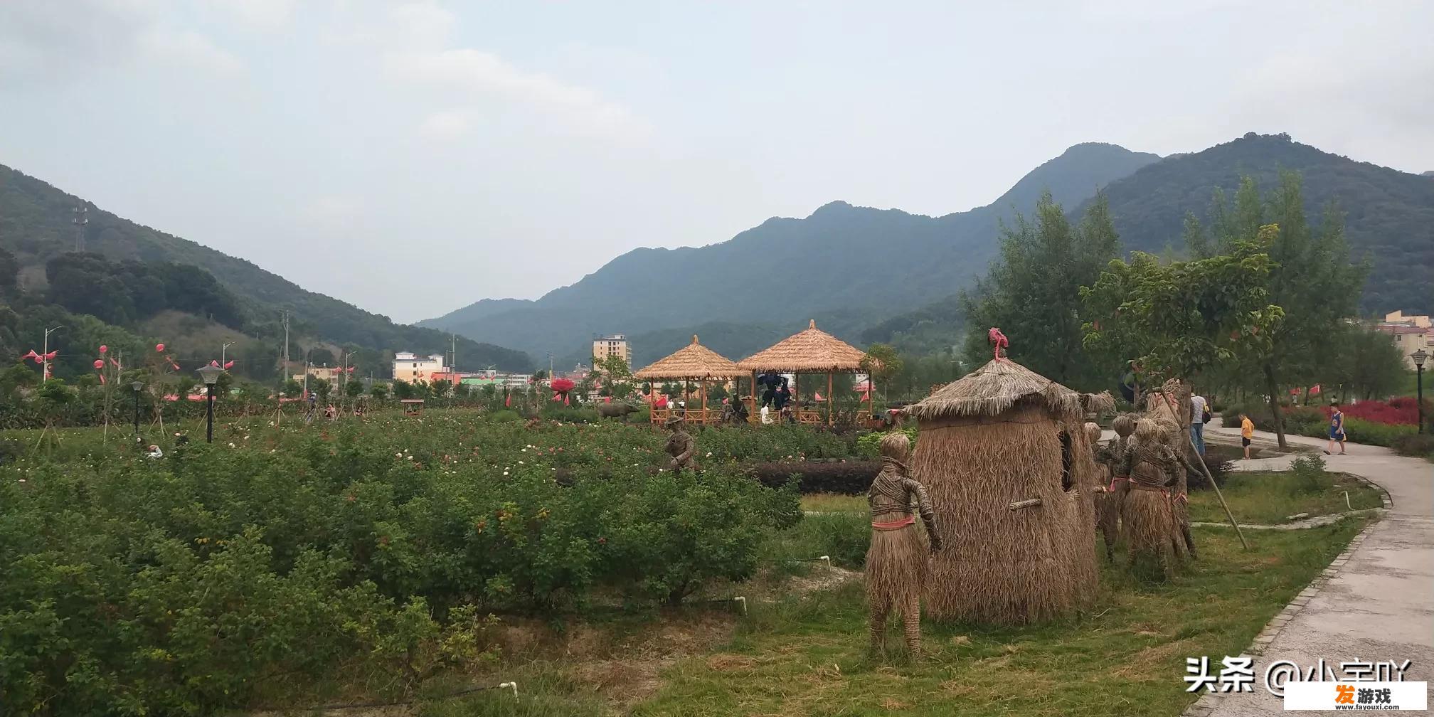 画质修改毁处理器吗？