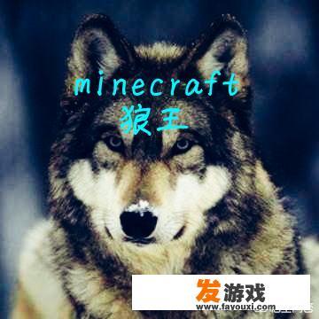 主播玩的斗罗大陆叫什么名字？