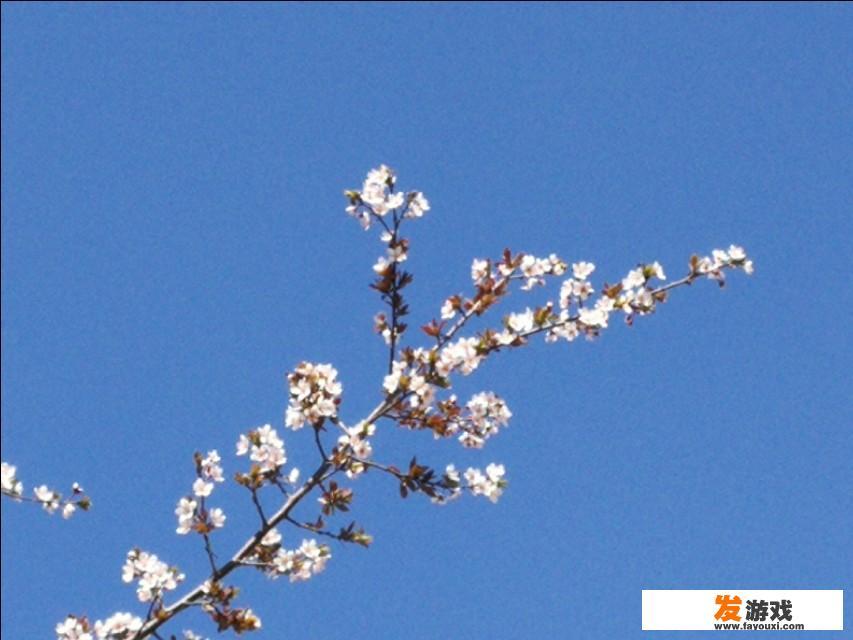 在高中学习期间利用课余时间玩会网络游戏影响学习吗？