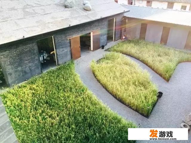 次元回廊第五周boss都有谁？