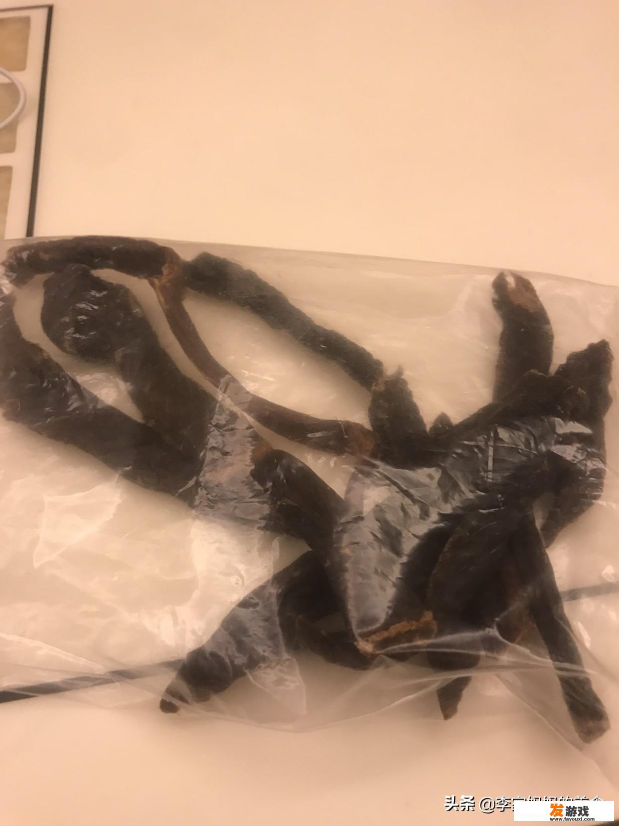 家园7系列的游戏？