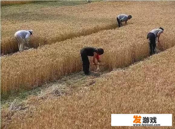 全民k歌无限碰碰乐的意思？