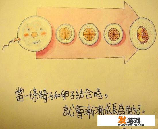 你会与《小欢喜》里的黄磊和海清一样去向孩子直白的解释“性”吗？