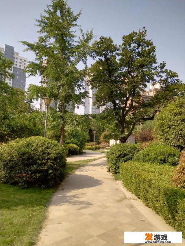 男生和兄弟互爆粗口，但是对不喜欢爆粗口的女朋友也说“你在想屁吃”之类的粗话大家怎么看？