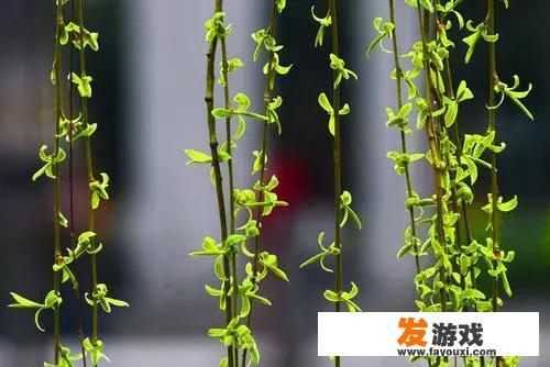 保洁员偷懒如何管理好？
